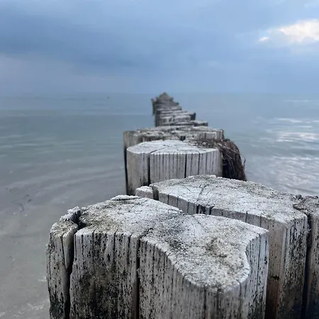 Appartamento Appartementhaus 5 - Urlaub Zwischen & Bodden Zingst